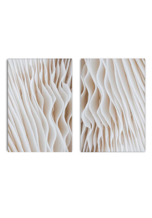 Floral Pattern Set Of 2 Posters 50x70cm