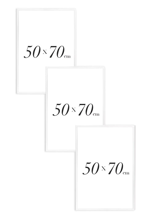Set Of 3 White Metallic Frames 50x70cm