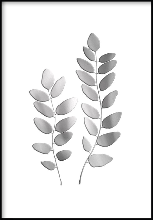 acacia leaf poster