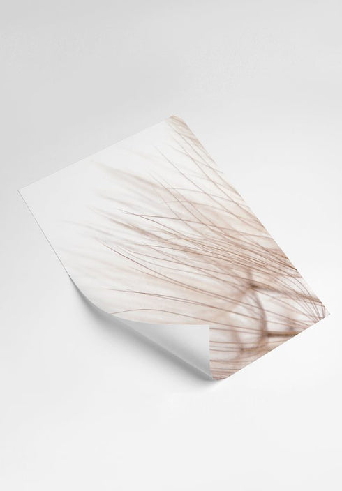 Delicate Dandelion Poster 50x70cm