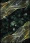 Golden Woods Vrai Or Poster