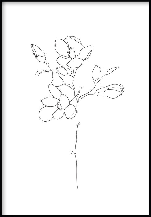 magnolia flowers line art poster