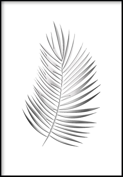 palm leaf poster