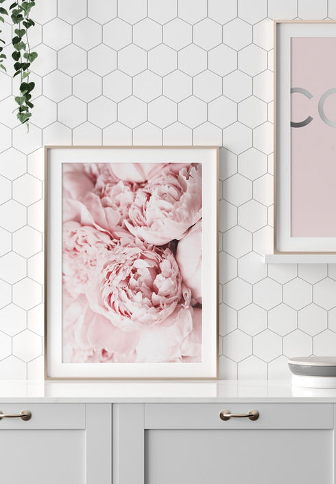 pink peonies flowers poster
