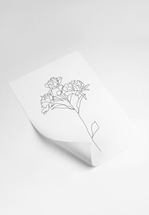 Roses Line Art Poster 50x70cm